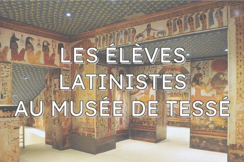 Latinistes au musée de Tessé