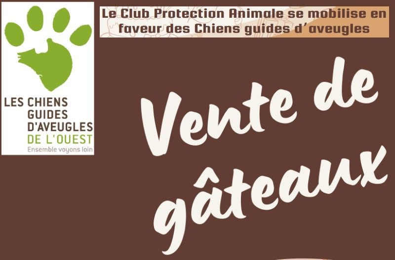 Le Club Protection Animale se mobilise en faveur des Chiens Guides d’Aveugles.