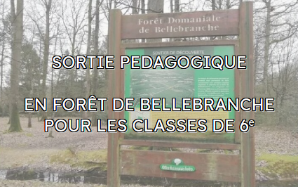 Sortie pédagogique en forêt de Bellebranche