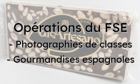 Opérations du FSE