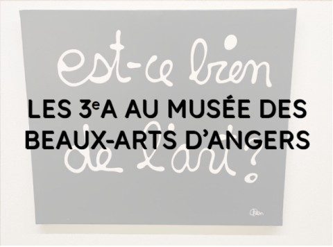 Au musée des beaux-arts d’Angers